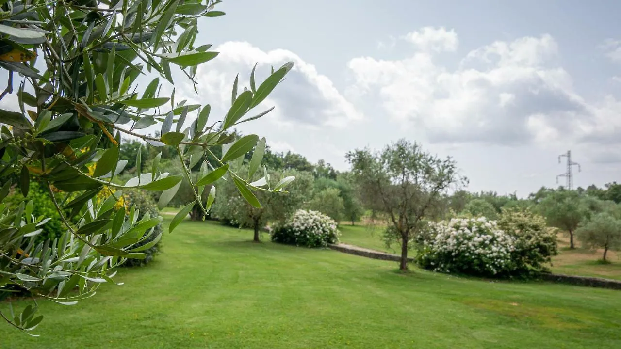 Poggio Al Palio Aparthotel San Lorenzo a Merse